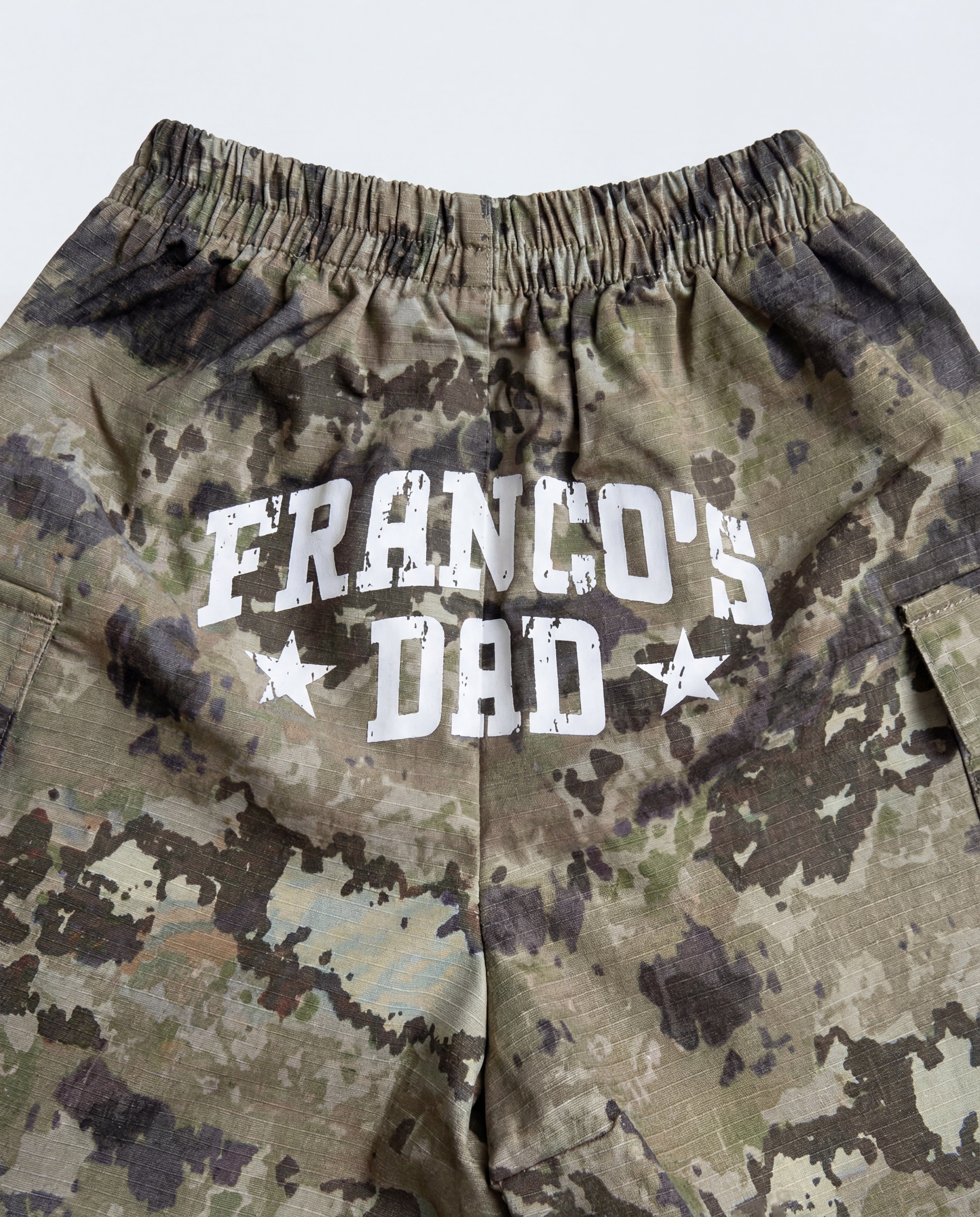 Camo ripstop shorts